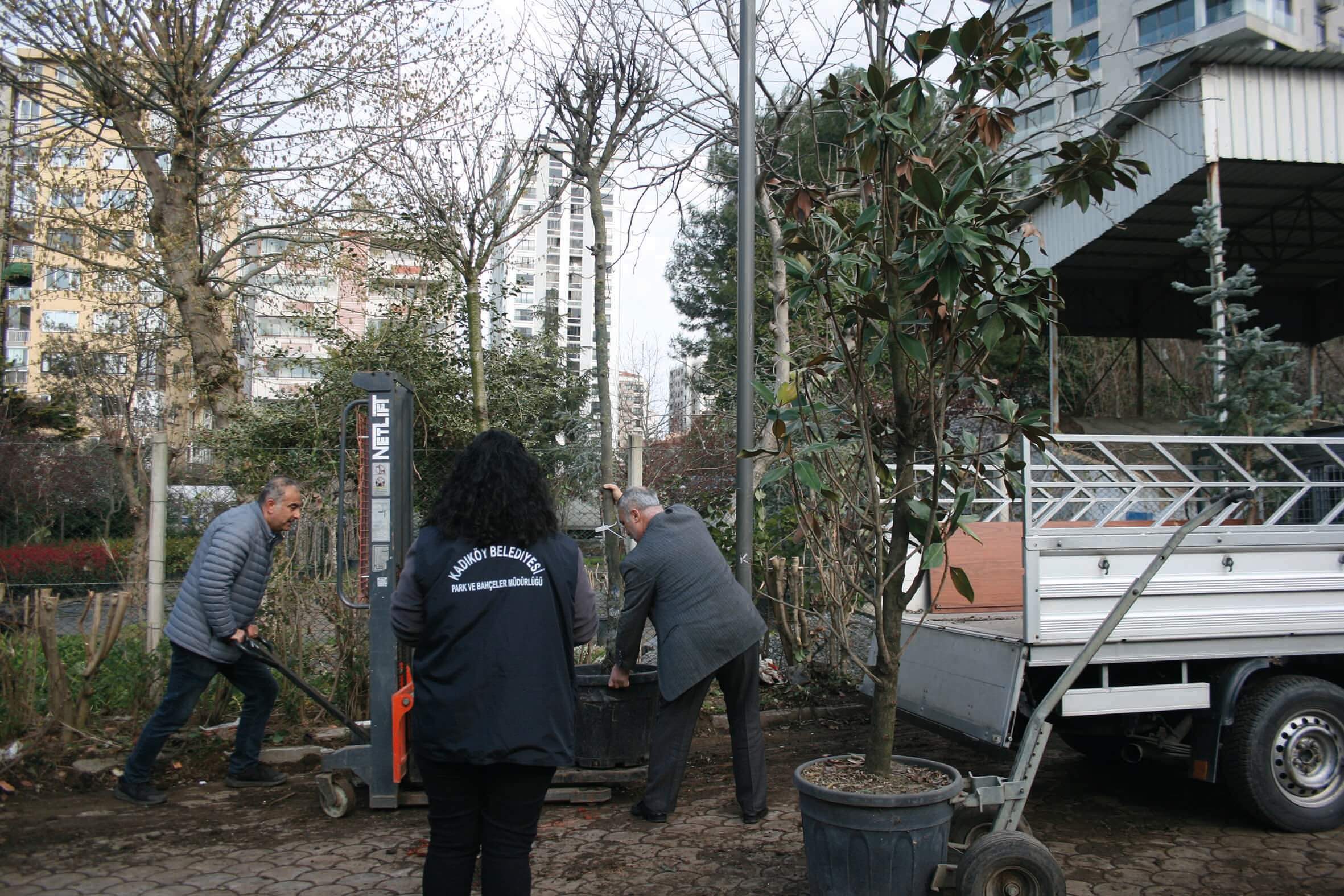 Orman Haftası’nda ücretsiz ağaç dağıtımı